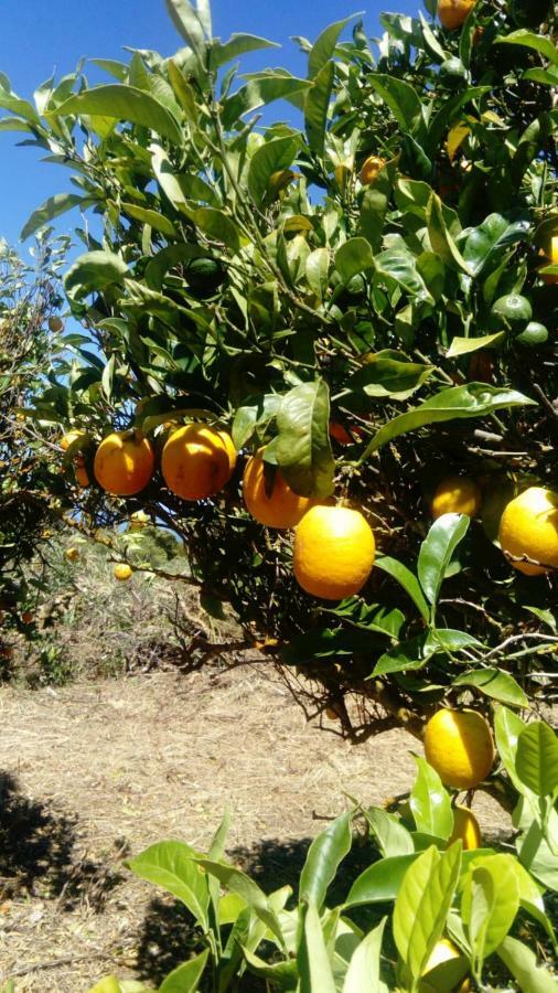 El Limonero ξενώνας Garafía Εξωτερικό φωτογραφία